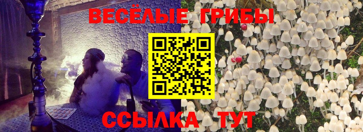 Галлюциногенные грибы MAGIC MUSHROOMS Сарапул